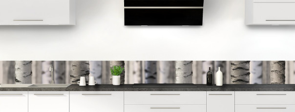 Crédence de cuisine FT91600MS frise