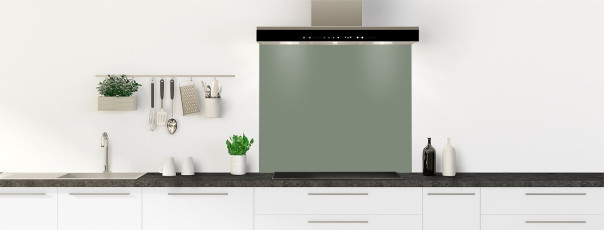 Crédence de cuisine CACTUS fond de hotte