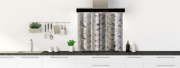 Crédence de cuisine FT91600MS fond de hotte