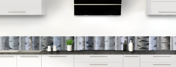 Crédence de cuisine FT91600IN frise