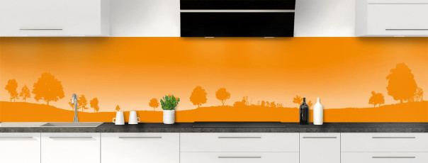 Crédence de cuisine MJ03111F couleur Tangerine panoramique