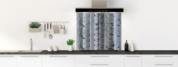 Crédence de cuisine FT91600IN fond de hotte