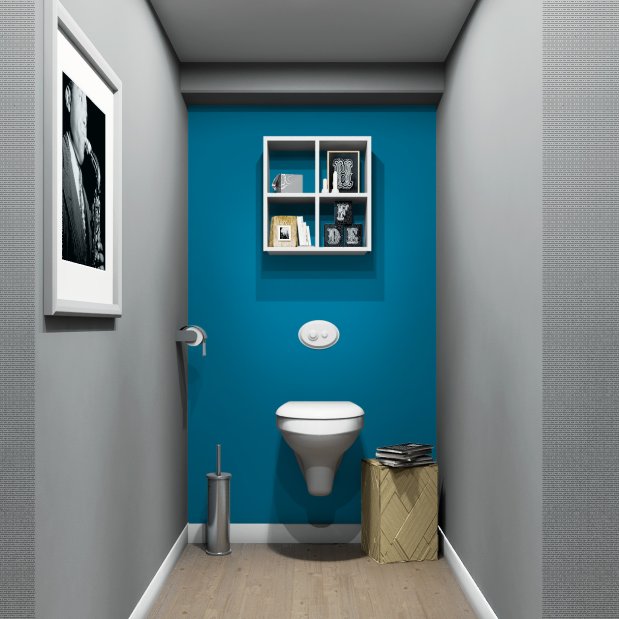 réalisation panneau de toilette bleu