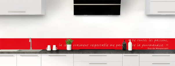 Crédence de cuisine TEXTE4B couleur Rouge Vif frise