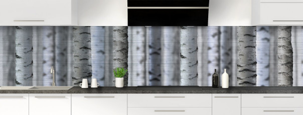 Crédence de cuisine FT91600IN panoramique