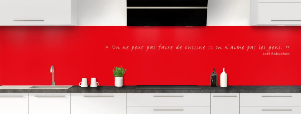 Crédence de cuisine TEXTE2B couleur Rouge Vif panoramique