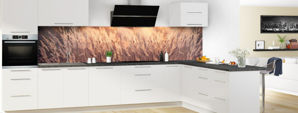 Crédence de cuisine AB20839A panoramique en perspective