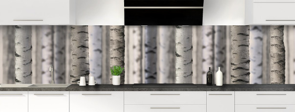 Crédence de cuisine FT91600MS panoramique