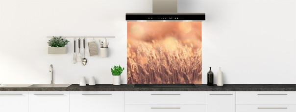 Crédence de cuisine AB20839A fond de hotte