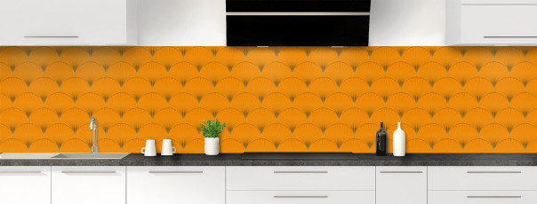 Crédence de cuisine CD22022A couleur Tangerine panoramique