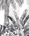 Tropical